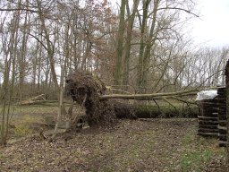 Sturm Emma 01.03.2008